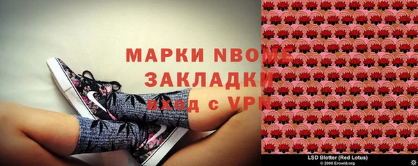 крисы Зерноград