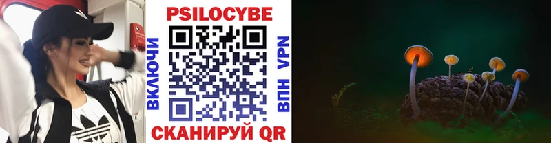 Псилоцибиновые грибы Magic Shrooms  как найти закладки  Ковылкино 